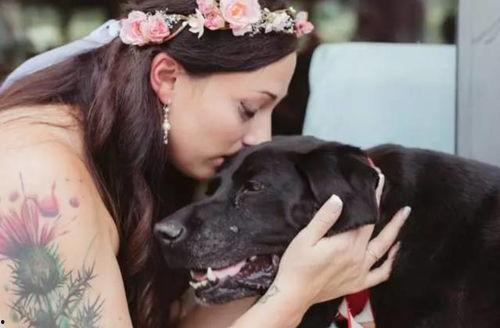 夫妻吵架狗都不理，而查理笑了